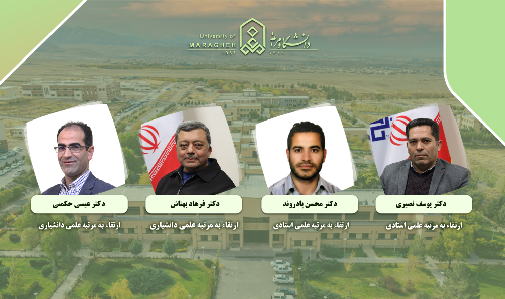 دانشگاه مراغه