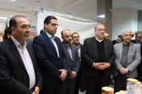 دانشگاه مراغه