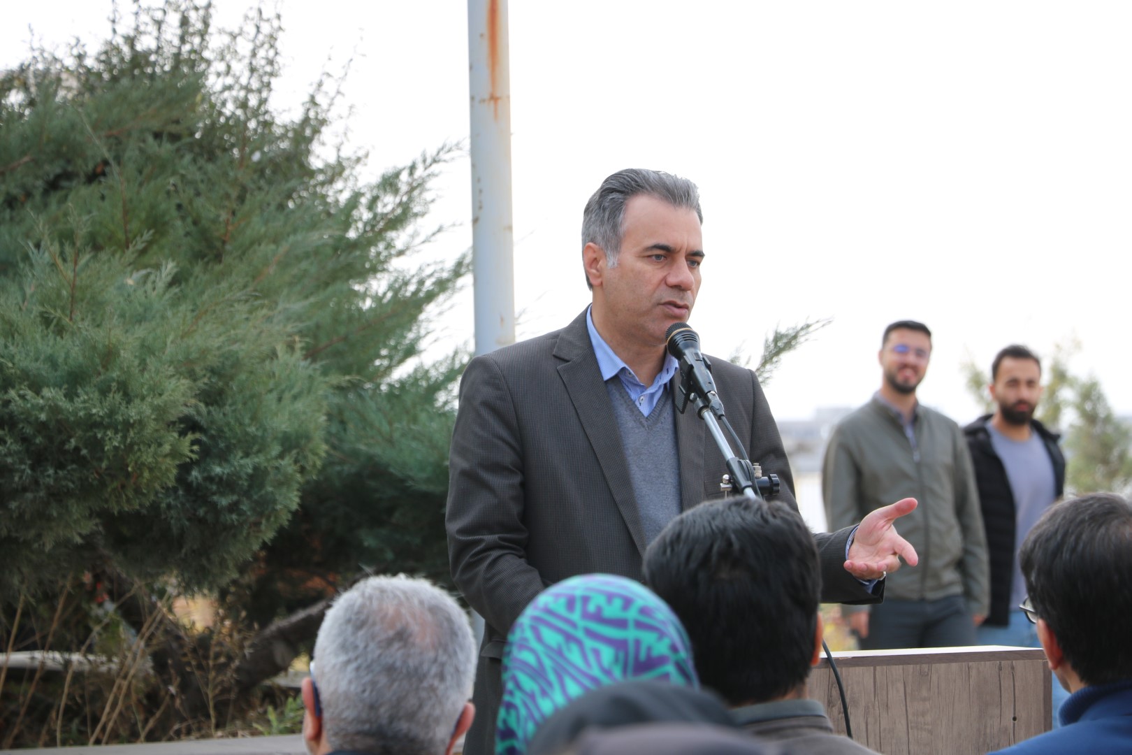 دانشگاه مراغه