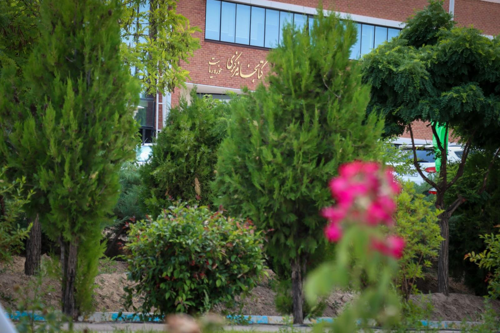 دانشگاه مراغه