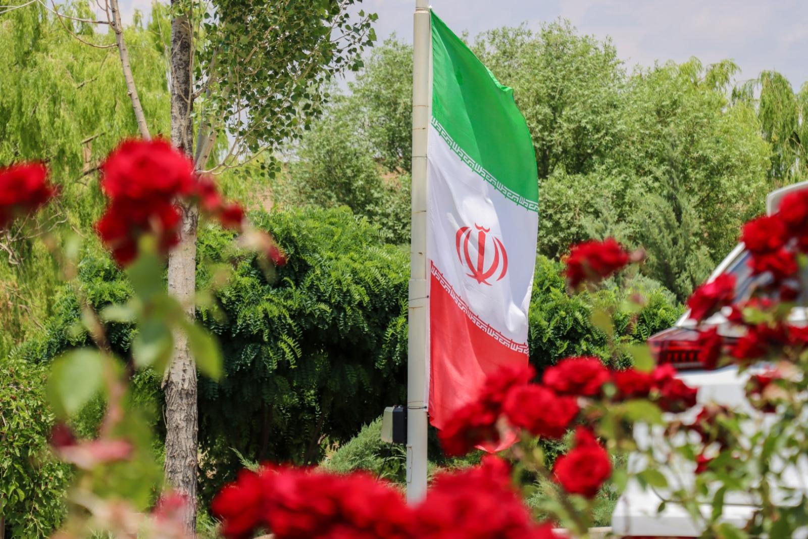 دانشگاه مراغه